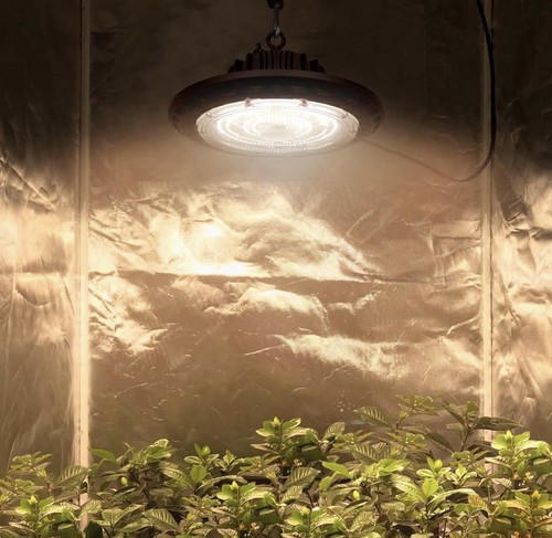 Led ufo grow light - ufo,