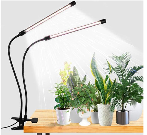 Electric dual led - electric,